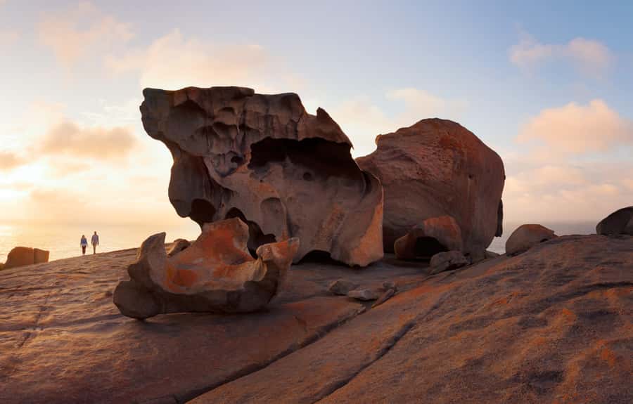 Kangaroo Island: Scenic, Nature & Wildlife Tour - Who This Tour Fits Best (and Who Might Want to Drive)