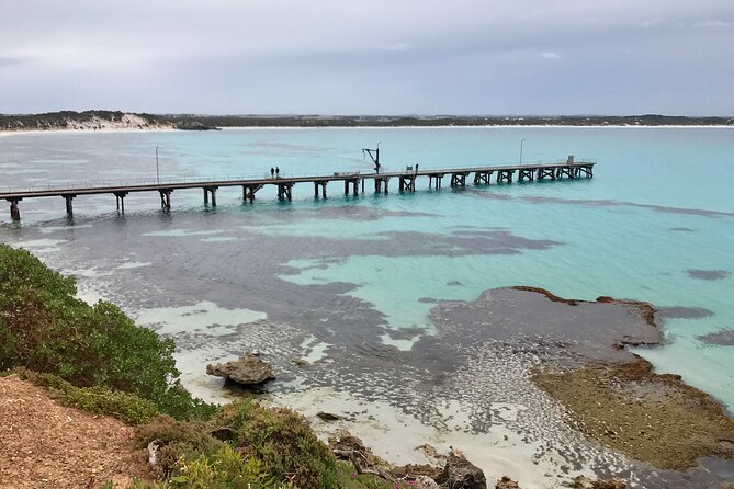 Kangaroo Island Shore Excursion Scenic Trail Tour - Wildlife sightings: wild animals, guide help, and no guarantees