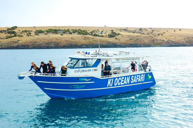 Kangaroo Island - Swim with Dolphins/Seals/Coastal Snorkel - Quick hits before you go