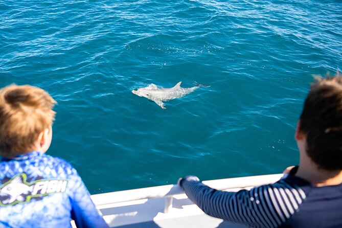 Kangaroo Island - Swim with Dolphins/Seals/Coastal Snorkel - Group size and the boat experience: keeping it manageable