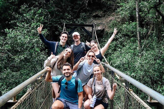 Kangaroos, 6 Springbrook Waterfalls and Natural Bridge Day Tour - Key Highlights You’ll Actually Care About
