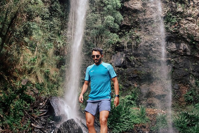 Kangaroos, 6 Springbrook Waterfalls and Natural Bridge Day Tour - Canyon Lookout: quick height time for panoramic views