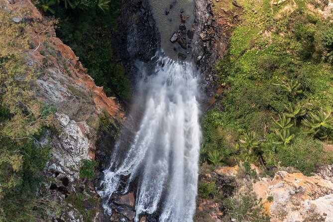 Kangaroos, 6 Springbrook Waterfalls and Natural Bridge Day Tour - Included snacks, water, and free photos: the comfort details that matter