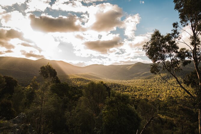 Kangaroos and Koala Experience Tour - The Guide Factor: How Neil (and Bill) Change the Trip