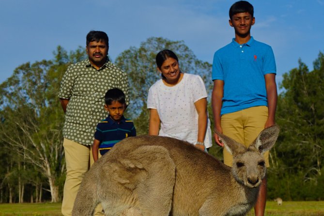 Kangaroos & Koalas in the Wild - Private Nature Experience - Quick hits: what makes this private wildlife experience work