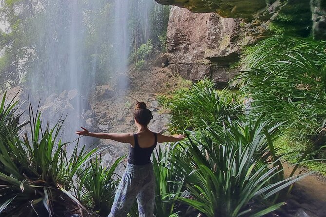 Kangaroos, Rainforest & Waterfalls Experience - Small Group - Price and what feels like actual value at $128.39