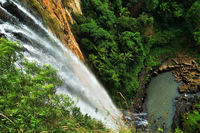 Kangaroos, Rainforest & Waterfalls Experience - Small Group - Stop 2: Natural Bridge for a fast wow moment
