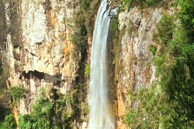 Kangaroos, Rainforest & Waterfalls Experience - Small Group - Stop 3: Best Of All Lookout for short time and big views