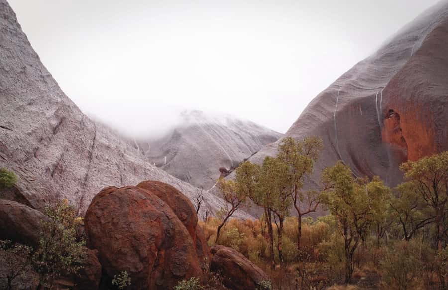 Kata Tjuta Private Guided Sunrise Tour - Walking the Red Rock at Walpa Gorge
