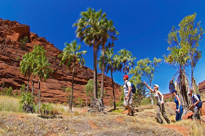 Kata Tjuta Valley of the Winds Circuit Hike - Fitness and Safety: Who This Hike Suits Best