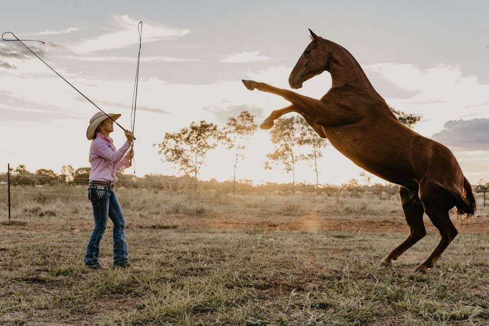 Katherine: Authentic Outback Show and Live Music - Working dogs and liberty demonstrations in plain language
