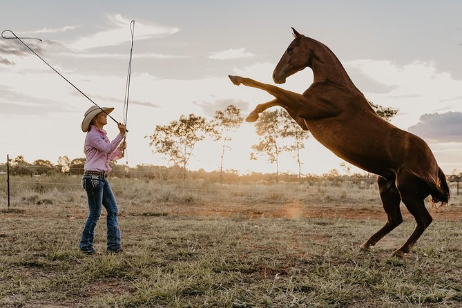 Katherine Outback Experience Show Ticket - Key highlights worth showing up for