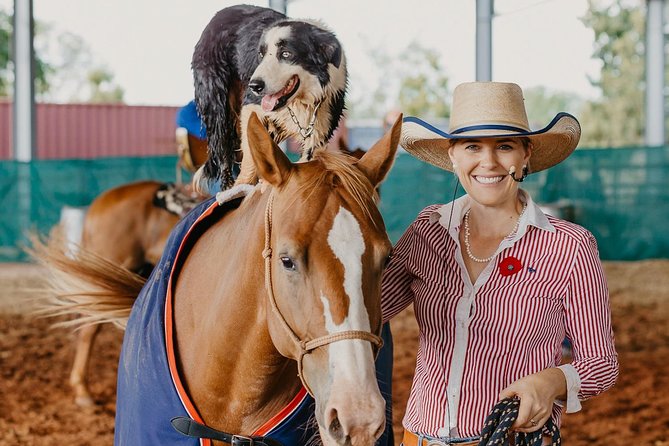 Katherine Outback Experience Show Ticket - Your 2-hour flow: horse-starting first, then working dogs and more