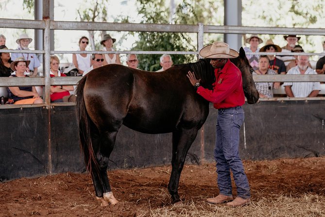 Katherine Outback Experience Show Ticket - Horse-starting in the arena: the part that makes the show memorable