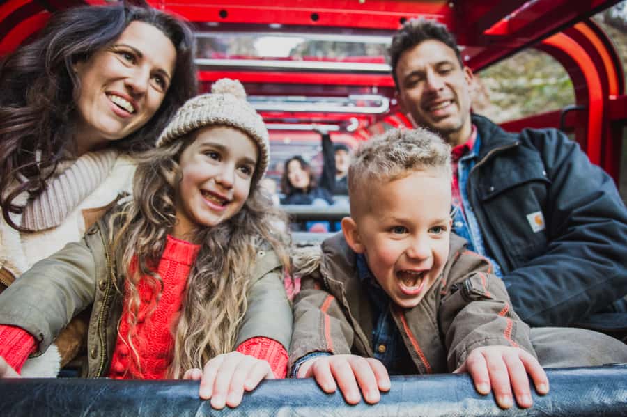 Katoomba: Scenic World 1-Day Unlimited Discovery Pass - Your day plan at a calm pace: self-guided and flexible