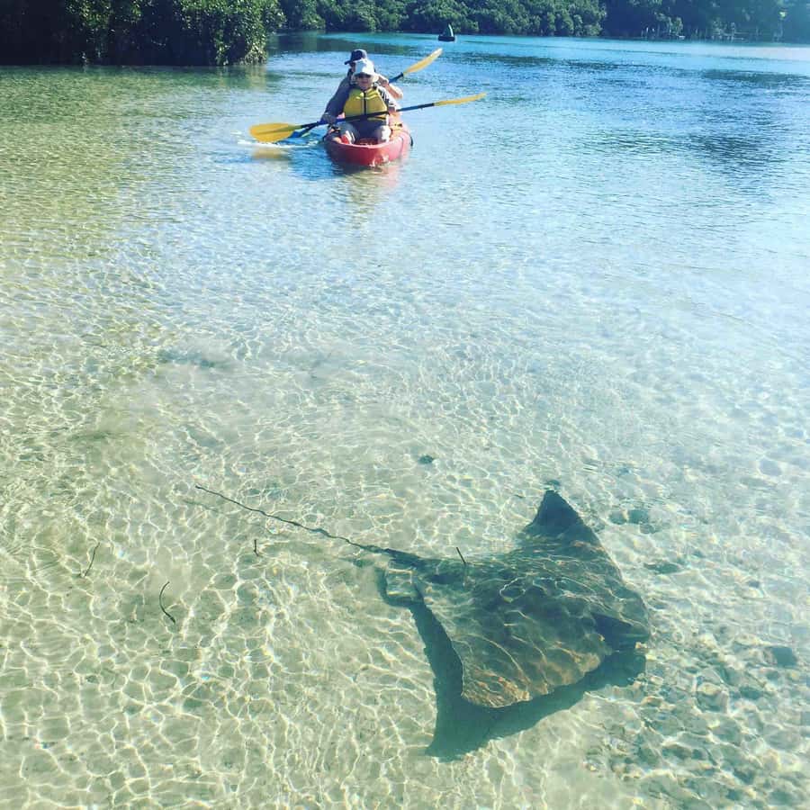 Kayak Hire Batemans Bay - Key things I’d highlight before you paddle