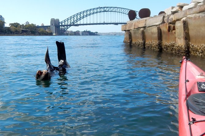 Kayak to Goat Island in Sydney Harbour with Local - What you need to bring (and what you don’t)