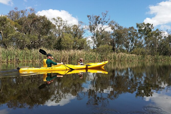 Kayak Tour on the Canning River - Why the Canning River feels like a real break from Perth