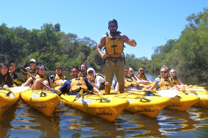 Kayak Tour on the Canning River - The 3-hour route from Kent Street Weir: what the timing really means