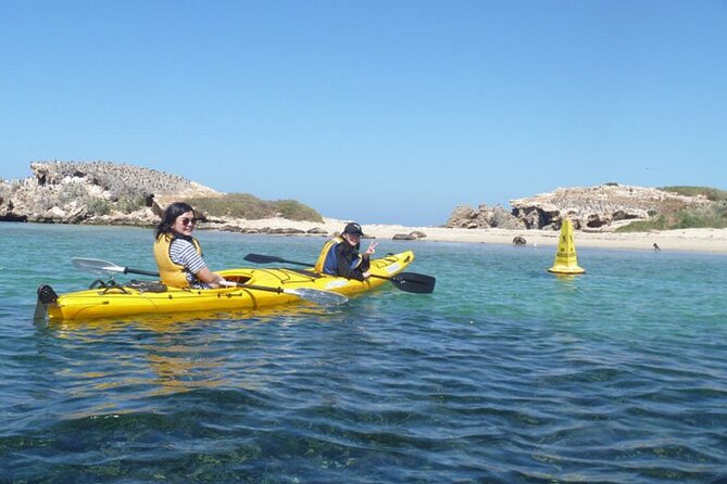 Kayak Tour on the Canning River - Price and value: what $57.38 covers (and what you’ll handle)