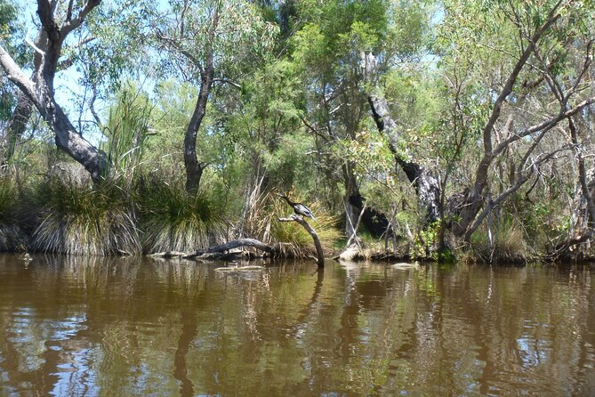 Kayak Tour on the Canning River - Stable double kayaks and instruction that actually helps