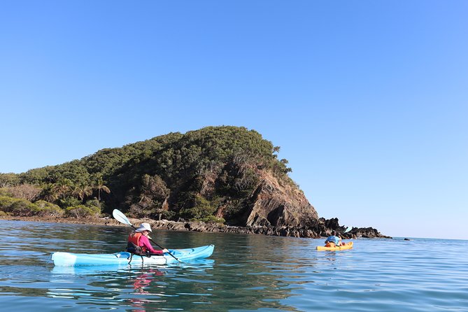 Kayak Turtle Tour from Palm Cove - Key Highlights Worth Planning For