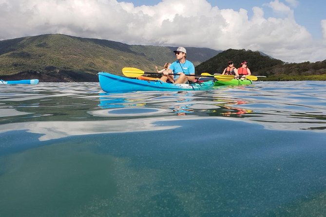 Kayak Turtle Tour from Palm Cove - From Williams Esplanade to Double Island: What Your Paddle Feels Like