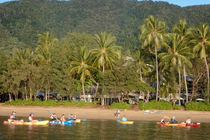 Kayak Turtle Tour from Palm Cove - Mangroves, Shallow Rays, and How the Limestone Cave Works