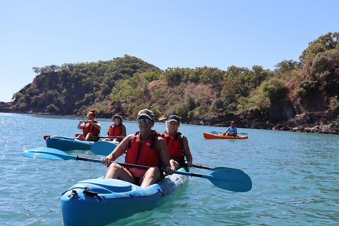 Kayak Turtle Tour from Palm Cove - Price and Logistics: Is It Worth $85.35?