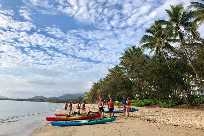 Kayak Turtle Tour from Palm Cove - Who Should Book This Kayak Turtle Tour (and Who Should Skip It)