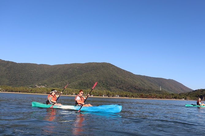 Kayak Turtle Tour from Palm Cove - What the Guides Actually Do (Noel, Luke, Andrew, and the Calm Teaching Style)