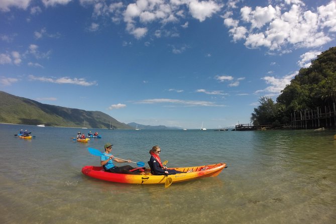 Kayak Turtle Tour from Palm Cove - Turtles First: Green and Hawksbill Sightings on the Reef Edge