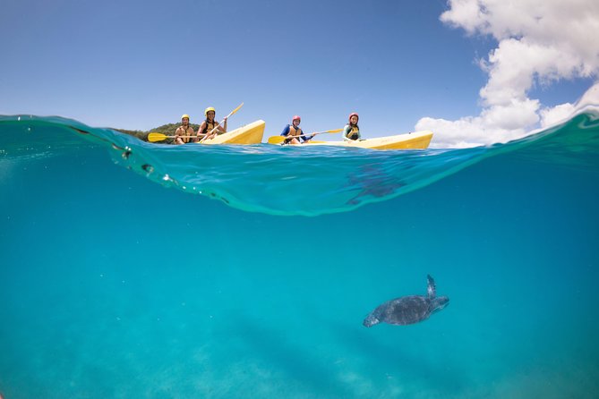 Kayaking with Dolphins in Byron Bay Guided Tour - Price and value at about $63.83: what you’re really paying for