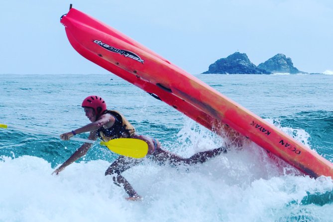 Kayaking with Dolphins in Byron Bay Guided Tour - Who should book (and who should think twice)