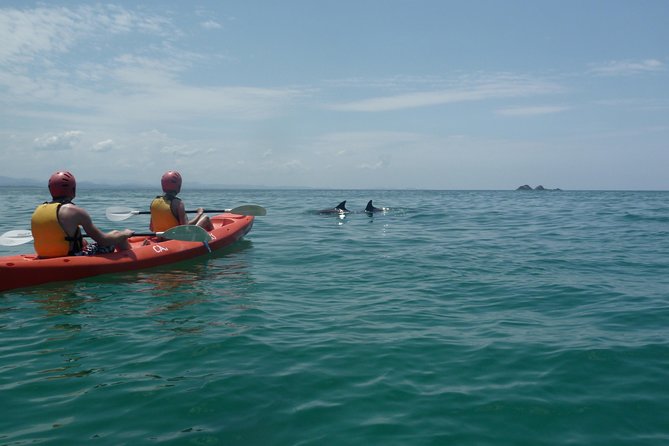 Kayaking with Dolphins in Byron Bay Guided Tour - Meet at Cape Byron Kayaks: the gear, the briefing, and what to expect early