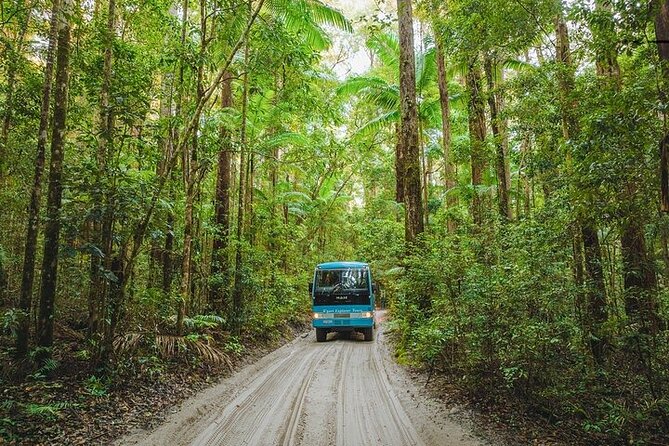 K'Gari (Fraser Island) 3-Day Getaway from Hervey Bay + Illumina - What to pack and how hard is it, honestly?