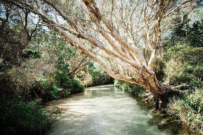 K'Gari (Fraser Island) 3-Day Getaway from Hervey Bay + Illumina - Price and value: is $668.47 per person worth it?