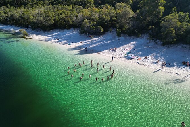 K'gari (Fraser Island) Small Group Day Tour - From Rainbow Beach - SS Maheno shipwreck and Eli Creek float or wade