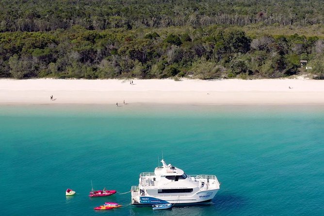 K'gari (Fraser Island) West Coast Half Day Cruise from Hervey Bay - Getting to Whalesong Cruises and settling in