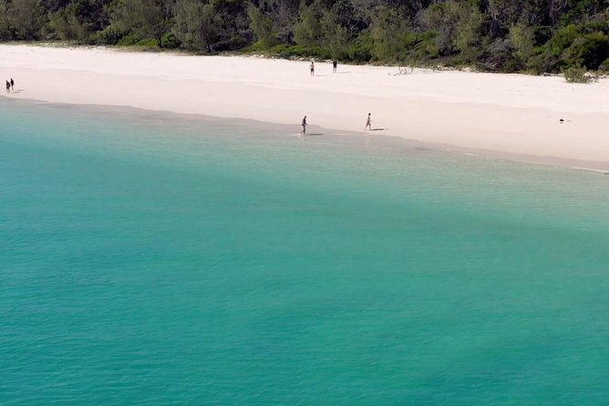 K'gari (Fraser Island) West Coast Half Day Cruise from Hervey Bay - Stop focus: Whalesong Cruises as your launch point
