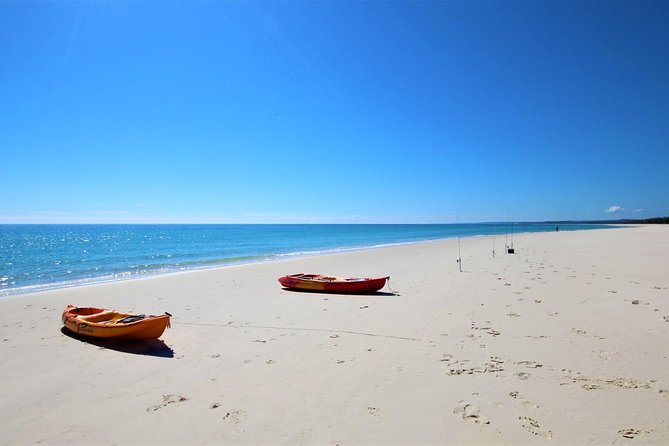 K'gari (Fraser Island) West Coast Half Day Cruise from Hervey Bay - Lunch on board: BBQ buffet that actually fills you up