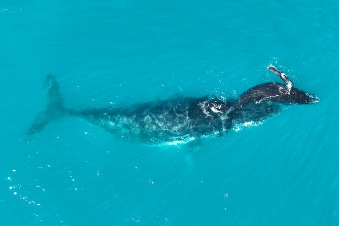 Kimberley Day Cruise Full Day Tour Departing Broome - Ohana on the Water: Food, Crew, and Why the Meals Matter