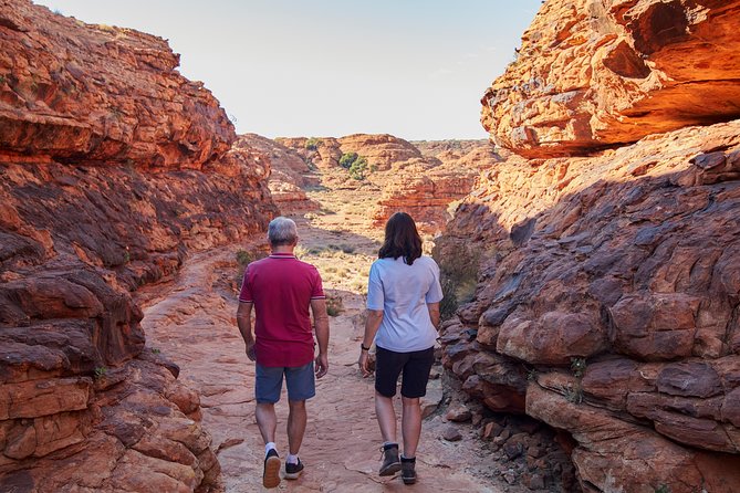 Kings Canyon Day Trip from Ayers Rock (Uluru) - Key highlights worth planning around