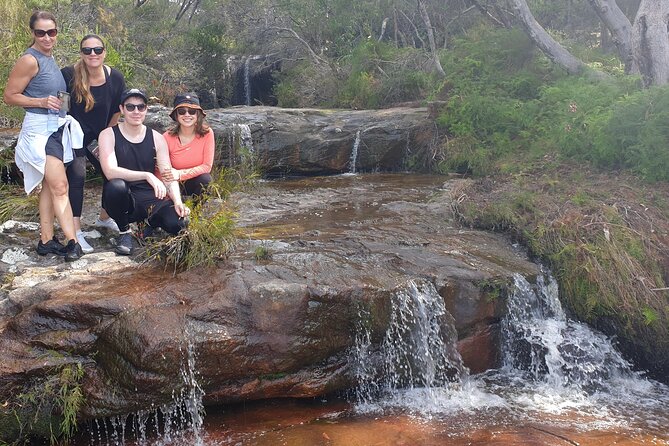 Koala & Kangaroos Experience, Waterfalls and Scenic Train Journey - Mount Ettalong Lookout: The Short Walk That Gives You the Wide Picture