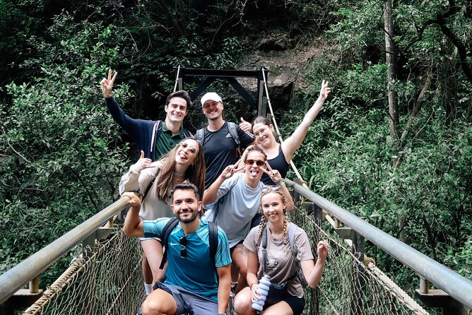 Koalas, 6 Springbrook Waterfalls and Natural Bridge Day Tour - Springbrook in one day: wildlife, waterfalls, and Natural Bridge without the rush