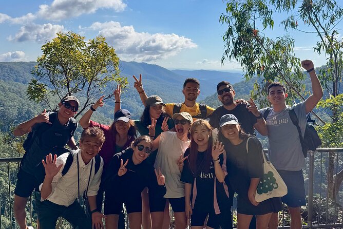 Koalas, 6 Springbrook Waterfalls and Natural Bridge Day Tour - Purling Brook Falls, Canyon Lookout, and Goomoolahra Falls: quick hits for big views