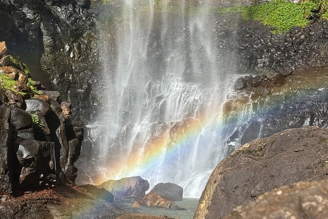 Koalas, 6 Springbrook Waterfalls and Natural Bridge Day Tour - What’s included (and why it changes the day)