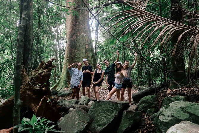 Koalas, 6 Springbrook Waterfalls and Natural Bridge Day Tour - The guide and group size: why Victor’s approach makes it easier