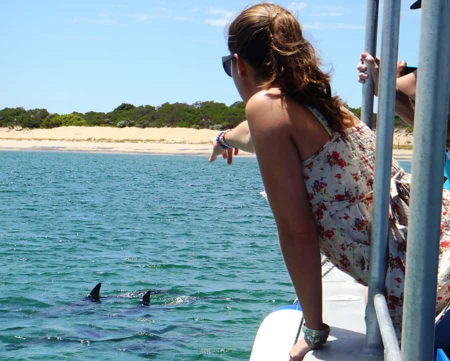 Koombana Bay: Dolphin Eco Cruise - Who This Cruise Fits Best