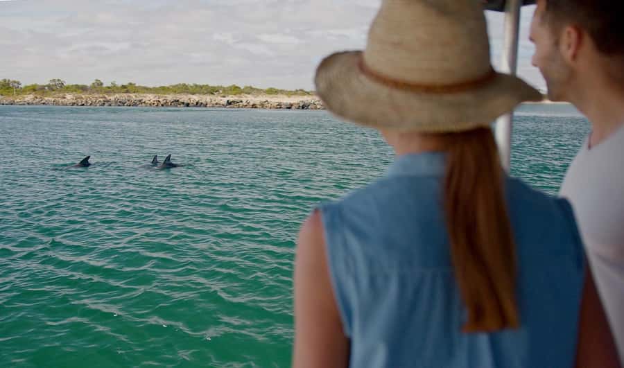 Koombana Bay: Dolphin Eco Cruise - Dolphin Watching in Different Modes: Play, Hunt, Rest
